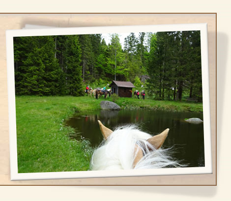 Landgasthof Spiegl
