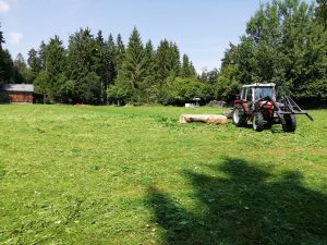 Urlaub mit Wohnwagen und eigenem Pferd im Reiterparadies Waldviertel!